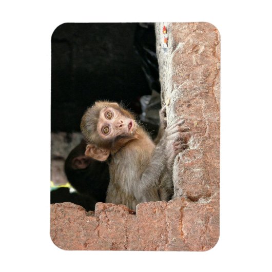 Geruchener Affe mit rechteckigem Magnet mit großen (Vertikal)