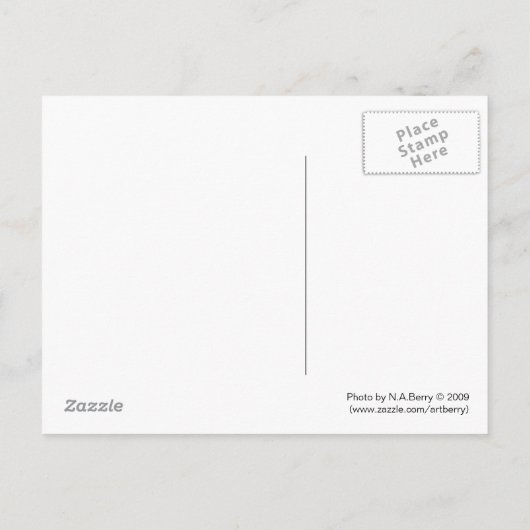 Gerüst Postkarte (Rückseite)