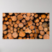gesägte Stämme Poster (Vorne)