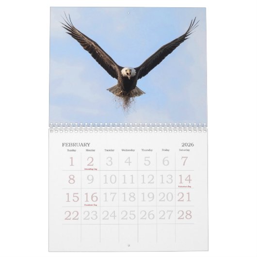 GESAMTEAGFL KALENDER (Feb 2026)