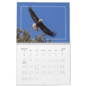 GESAMTEAGFL KALENDER (Mär 2026)