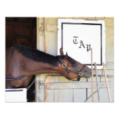 Gesamtplan Fotodruck (Vorne)