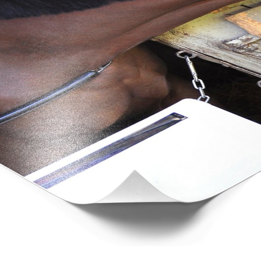 Gesamtplan Fotodruck (Ecke)