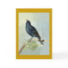 Gesang-Amsel-Aquarell-Anmerkungs-Karte