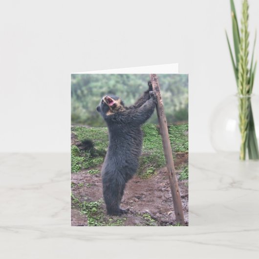 Gesang Bubu Notecard Karte (Vorderseite)