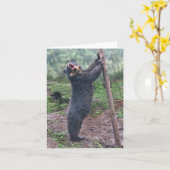 Gesang Bubu Notecard Karte (Gelbe Blume)