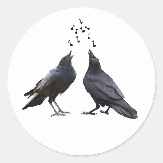Gesang Crows Stickers (Vorderseite)