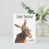 Gesang Donkey - Happy Birthday To You!! (Stehend Vorderseite)