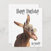Gesang Donkey - Happy Birthday To You!! (Vorne/Hinten)