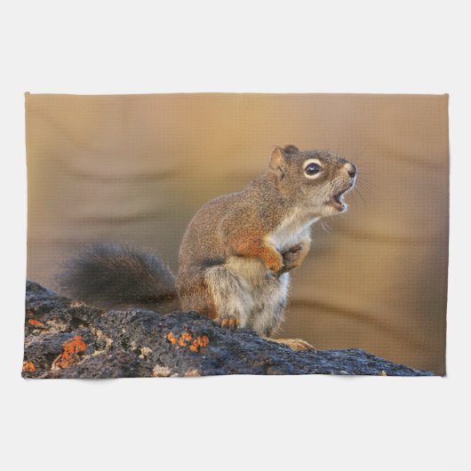 Gesang-Eichhörnchen Küchentuch (Horizontal)