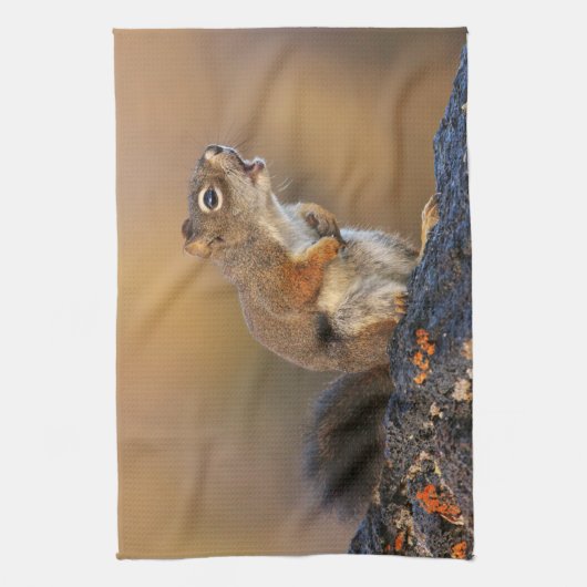 Gesang-Eichhörnchen Küchentuch (Vertikal)