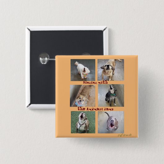 Gesang mit den Awkward Paws Button (Vorne & Hinten)