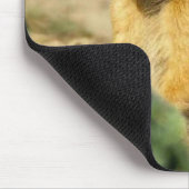Gesang-Präriehunde Mousepad (Ecke)