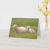 Gesang-Schafe Karte (Gelbe Blume)