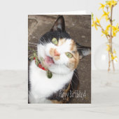 Gesang Tabby, Happy Birthday! Karte (Gelbe Blume)