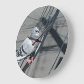 Gesang-Taube Große Wanduhr (Winkel)