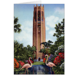 Gesang-Turm und Flamingos See-Wales-Florida Bok