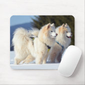 Gesäumte Hunde im Schnee Mousepad (Mit Mouse)