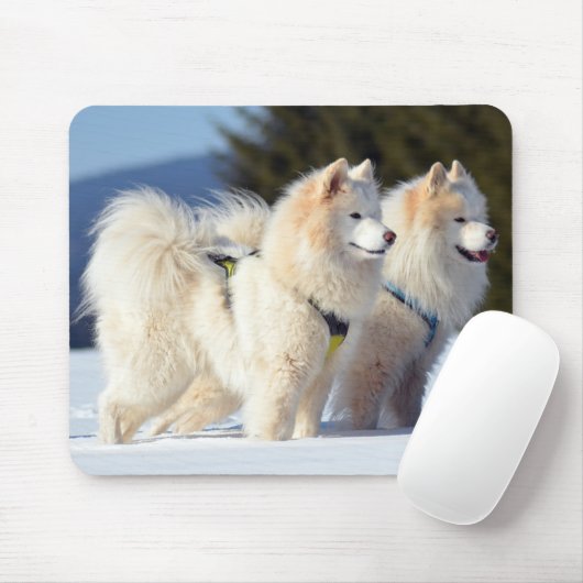 Gesäumte Hunde im Schnee Mousepad (Mit Mouse)