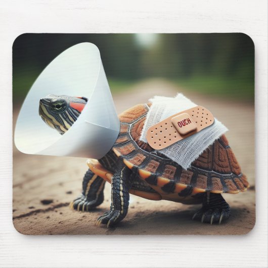 Geschädigte Schildkrötentruhe Mousepad (Vorne)