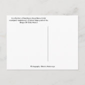 Geschäfte von Olde Marco - Marco Insel Florida Postkarte (Rückseite)