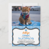 Geschäftliche Katze Schöne Einladung (Vorderseite)