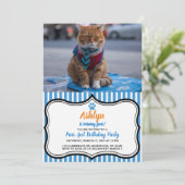 Geschäftliche Katze Schöne Einladung (Stehend Vorderseite)