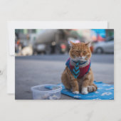 Geschäftliche Katze Schöne Einladung (Rückseite)