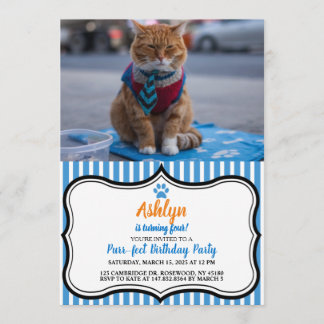 Geschäftliche Katze Schöne Einladung