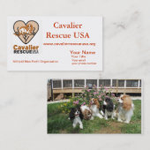 Geschäfts-Karten-Hunde auf Bett Visitenkarte (Vorne/Hinten)