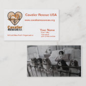 Geschäfts-Karten-Hunde auf Bett Visitenkarte (Vorne/Hinten)