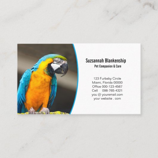 Geschäftsdetails mit QR-Code und benutzerdefiniert Visitenkarte (Vorderseite)