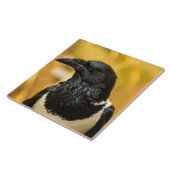 Gescheckte Krähen-große (6" X 6") Fliese (Seite)