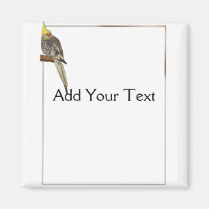 Gescheckter Cockatiel auf einer Niederlassung mit Magnet