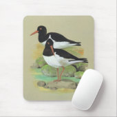 Gescheckter Oystercatcher - Haematopus ostralegus Mousepad (Mit Mouse)