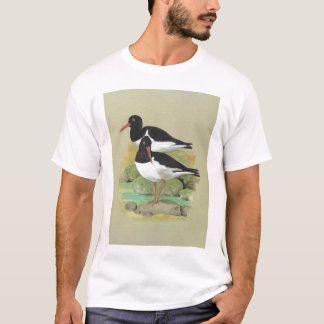 Gescheckter Oystercatcher - Haematopus ostralegus T-Shirt