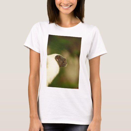 Gescheckter Tamarin T-Shirt (Vorderseite)