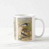 Gescheckter Wagtail-Vintage Vogel-Illustration