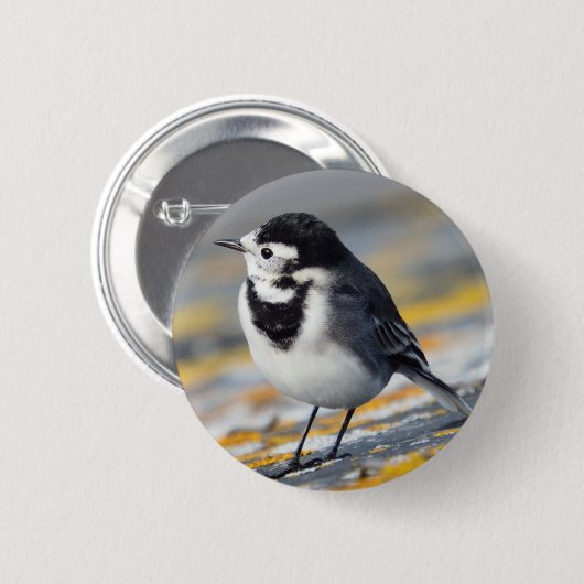 Geschecktes Wagtail-Abzeichen Button (Vorne & Hinten)