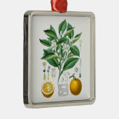 Geschenk der Zitrusfrucht-botanisches Illustration Ornament Aus Metall (Rechts)