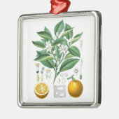 Geschenk der Zitrusfrucht-botanisches Illustration Ornament Aus Metall (Links)