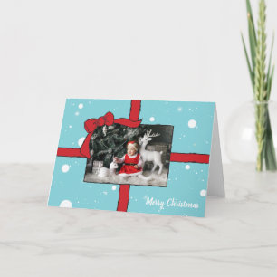 Geschenk Foto Weihnachtskarten Online Christmas Gr Karte