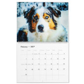 Geschenk für 2026 Australian Shepherd Cattle Dogs  Kalender (Feb 2027)