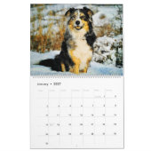 Geschenk für 2026 Australian Shepherd Cattle Dogs  Kalender (Jan 2027)