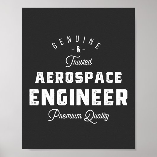 Geschenk für den Luftfahrtingenieur Poster (Vorne)