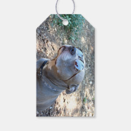 Geschenk für einen Coolen Typ Pitbull Geschenketag Geschenkanhänger