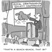 Geschenk für einen Vogelbeobachter oder Vogelbeoba Aufkleber (Vorderseite)