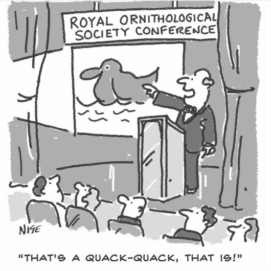 Geschenk für einen Vogelbeobachter oder Vogelbeoba Aufkleber (Vorderseite)