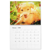 Geschenk für Liebhaber des Golden Labrador Hundes Kalender (Feb 2026)