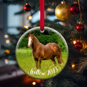 Geschenk für Pferde-Lover-Gedenkstätte Keramik Ornament